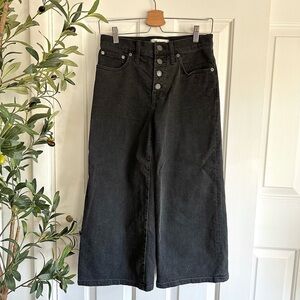 Madewell wide leg crop jeans in lunar wash